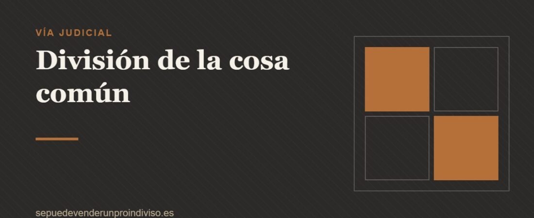 División de la cosa común: procedimiento judicial paso a paso